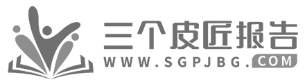 三个皮匠报告
